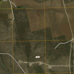 Lees, TX (2010, 24000-Scale) Preview 2