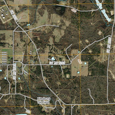 Leesburg, TX (2010, 24000-Scale) Preview 3