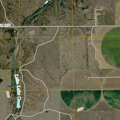 Lelia Lake Creek, TX (2010, 24000-Scale) Preview 2
