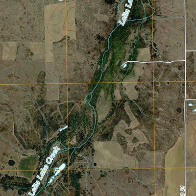 Lelia Lake Creek, TX (2010, 24000-Scale) Preview 3