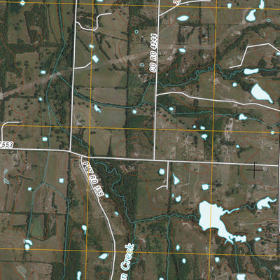 Leonard, TX (2010, 24000-Scale) Preview 3
