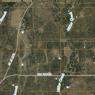 Lone Grove, TX (2010, 24000-Scale) Preview 3