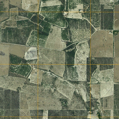 Los Ebanos NW, TX (2010, 24000-Scale) Preview 3