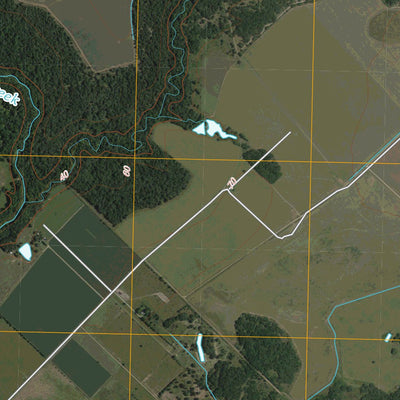 Louise, TX (2010, 24000-Scale) Preview 2