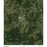 Lydia, TX (2010, 24000-Scale) Preview 1