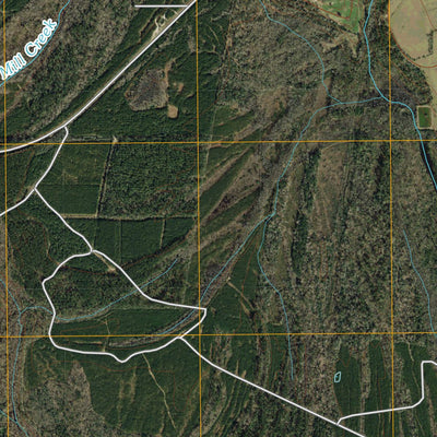 Magnolia Springs, TX (2010, 24000-Scale) Preview 2