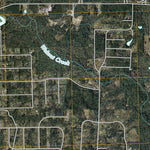 Magnolia West, TX (2010, 24000-Scale) Preview 2