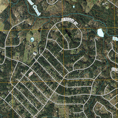 Magnolia West, TX (2010, 24000-Scale) Preview 3