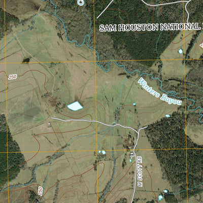 Maynard, TX (2010, 24000-Scale) Preview 2