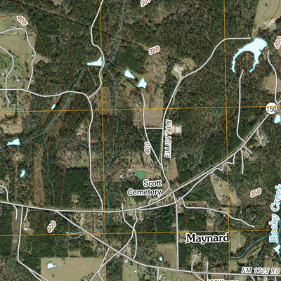 Maynard, TX (2010, 24000-Scale) Preview 3