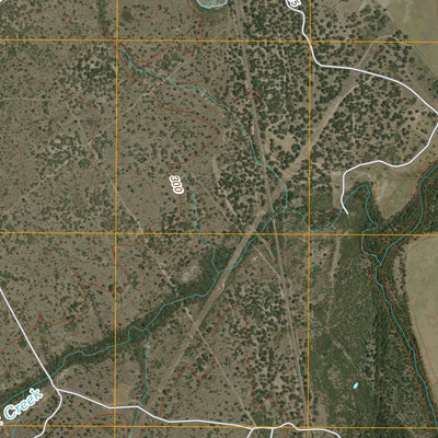 Mccoy, TX (2010, 24000-Scale) Preview 3