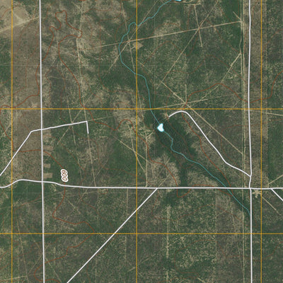 Mills Bennett NW, TX (2010, 24000-Scale) Preview 2