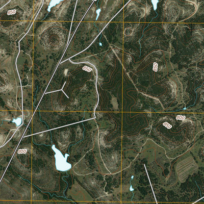 Morgan, TX (2010, 24000-Scale) Preview 3