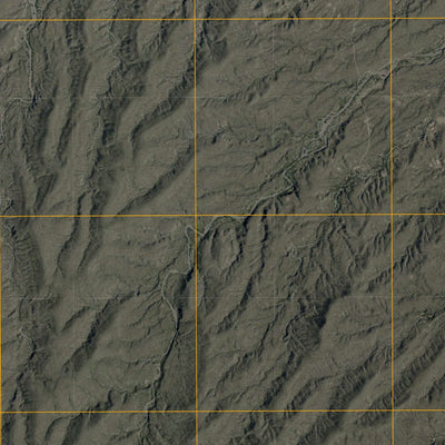 Neely Canyon Oe S, TX (2010, 24000-Scale) Preview 2