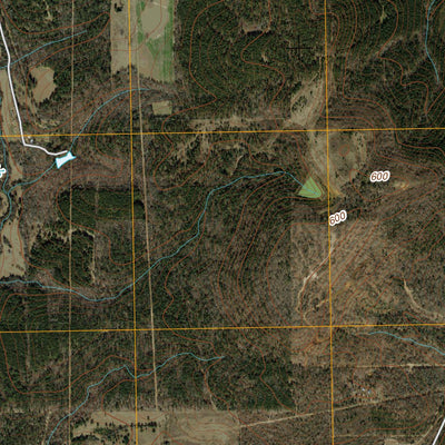 New Salem, TX (2010, 24000-Scale) Preview 3