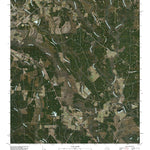 Newton East, TX (2010, 24000-Scale) Preview 1