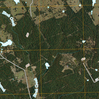 Oakwood, TX (2010, 24000-Scale) Preview 3