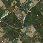 Pearsons Chapel, TX (2010, 24000-Scale) Preview 3