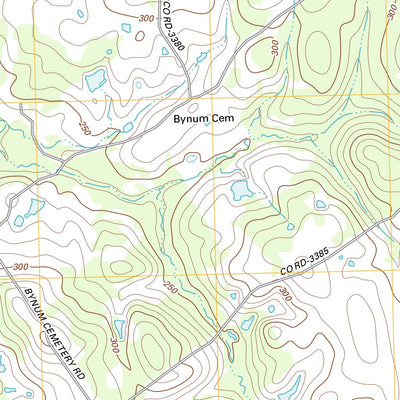Pearsons Chapel, TX (2013, 24000-Scale) Preview 3