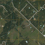 Peck Branch, TX (2010, 24000-Scale) Preview 3