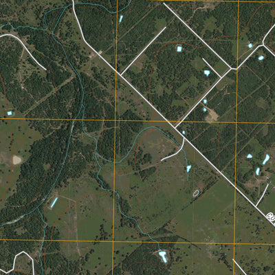 Peck Branch, TX (2010, 24000-Scale) Preview 3