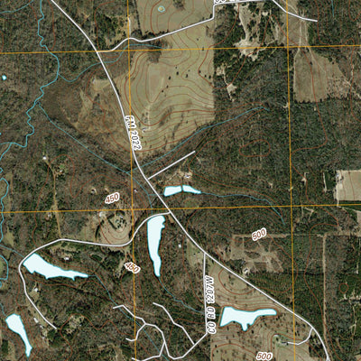 Percilla, TX (2010, 24000-Scale) Preview 3