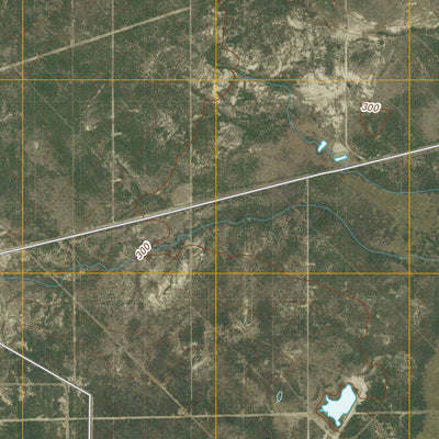 Piedra Creek SW, TX (2010, 24000-Scale) Preview 2