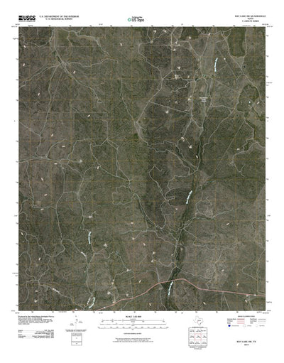 Ray Lake SW, TX (2010, 24000-Scale) Preview 1