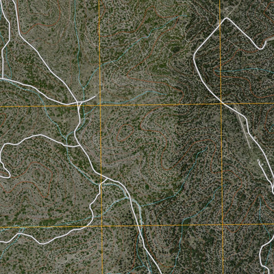Ray Lake SW, TX (2010, 24000-Scale) Preview 2