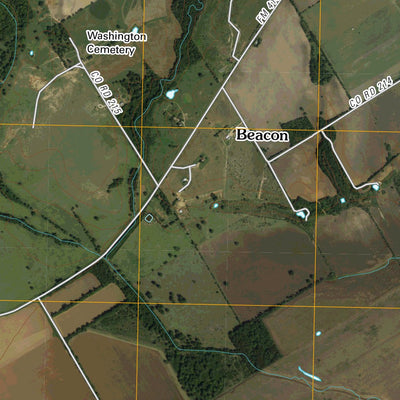 Reagan, TX (2010, 24000-Scale) Preview 2
