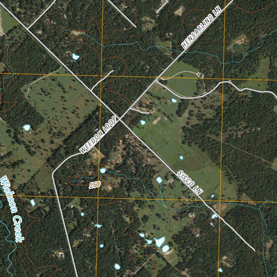 Reliance, TX (2010, 24000-Scale) Preview 2