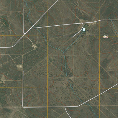 Rosita NW, TX (2010, 24000-Scale) Preview 2