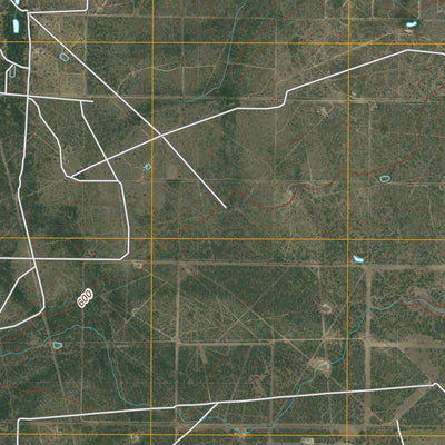 Rosita NW, TX (2010, 24000-Scale) Preview 3