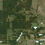 Saltillo, TX (2010, 24000-Scale) Preview 3
