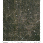 San Augustine Draw, TX (2010, 24000-Scale) Preview 1