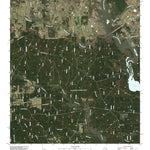San Jacinto, TX (2010, 24000-Scale) Preview 1