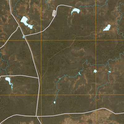 Santa Rosa Lake SW, TX (2010, 24000-Scale) Preview 2