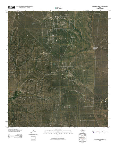 Schneeman Draw SE, TX (2010, 24000-Scale) Preview 1