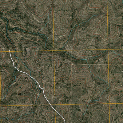 Schneeman Draw SE, TX (2010, 24000-Scale) Preview 3