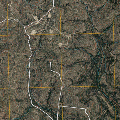 Schneeman Draw SW, TX (2010, 24000-Scale) Preview 2