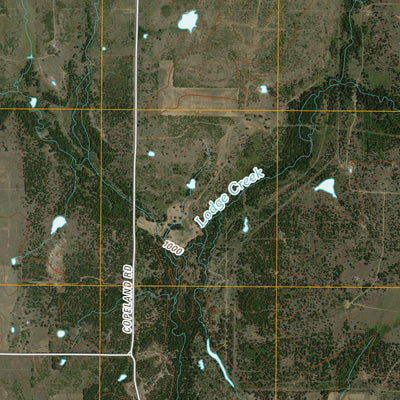 Scotland SE, TX (2010, 24000-Scale) Preview 3