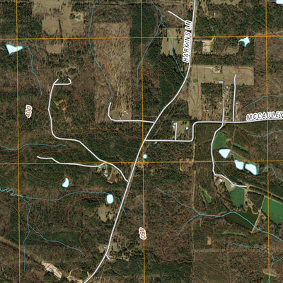 Scottsville, TX (2010, 24000-Scale) Preview 3