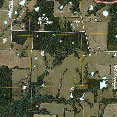 Selfs, TX (2010, 24000-Scale) Preview 2