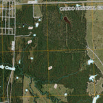 Selfs, TX (2010, 24000-Scale) Preview 3