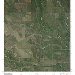 Skidmore NE, TX (2010, 24000-Scale) Preview 1