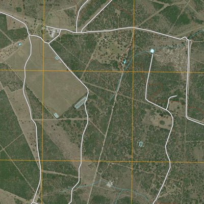 Skidmore NE, TX (2010, 24000-Scale) Preview 2
