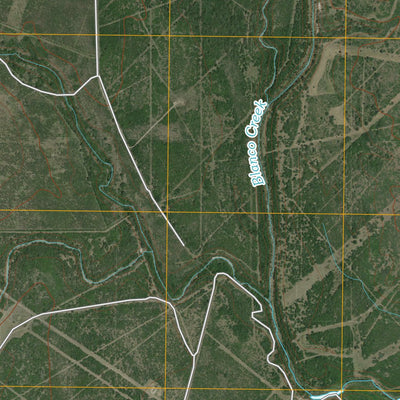 Skidmore NE, TX (2010, 24000-Scale) Preview 3