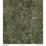 Spring Branch, TX (2010, 24000-Scale) Preview 1