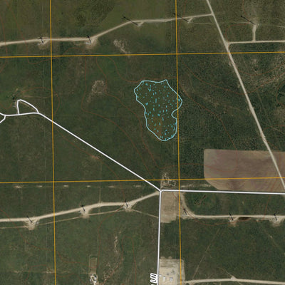 Sterling City NW, TX (2010, 24000-Scale) Preview 2
