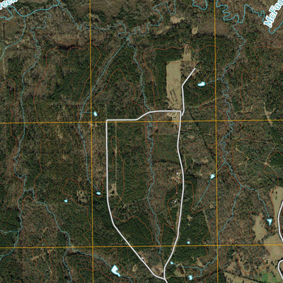 Tenaha East, TX (2010, 24000-Scale) Preview 3